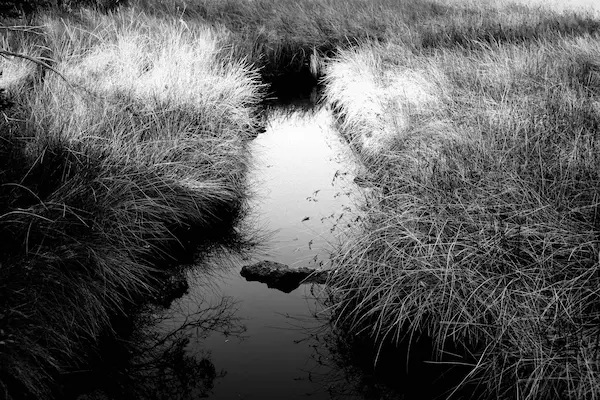 Rangers Creek B+W